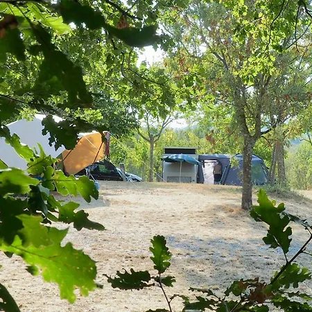 Cauvy Luxury tent